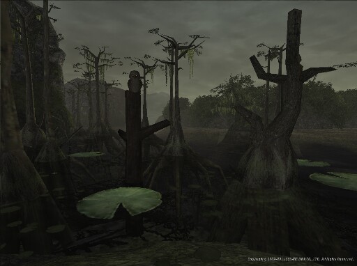 Screenshot: DESCRIPTION