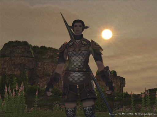 Screenshot: DESCRIPTION